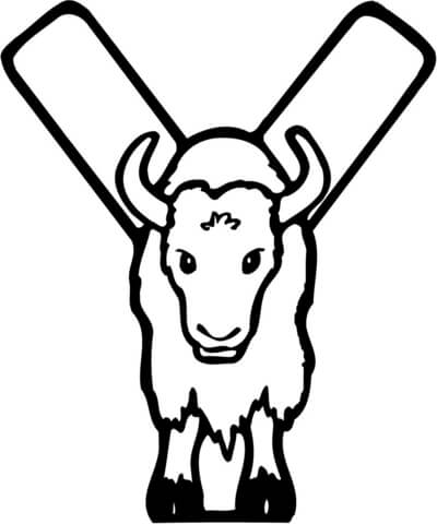 Letter Y Is For Yak Coloring Page